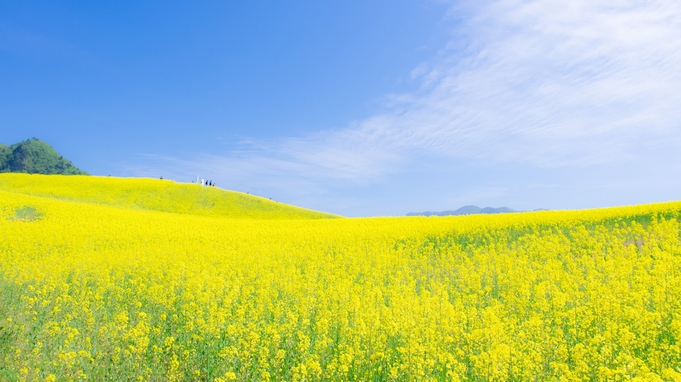 《期間限定》辺り一面の菜の花畑を見に行こう★一棟貸切＆送迎付★